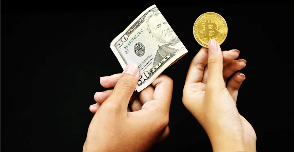 crypto-wallet-showdown